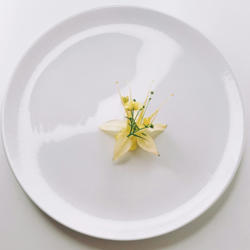 Set Farfurii Gresie Reactive